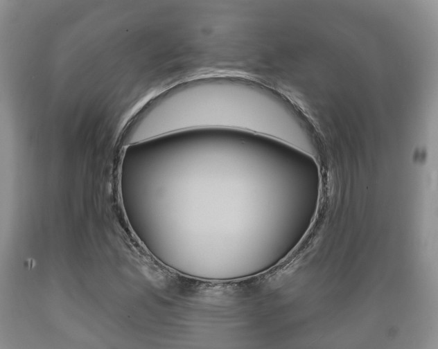 X0000089761165200706210947