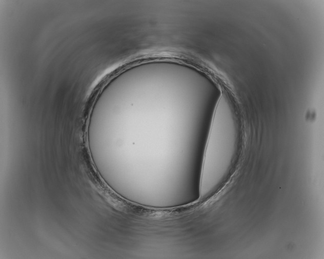 X0000089761166200706210947
