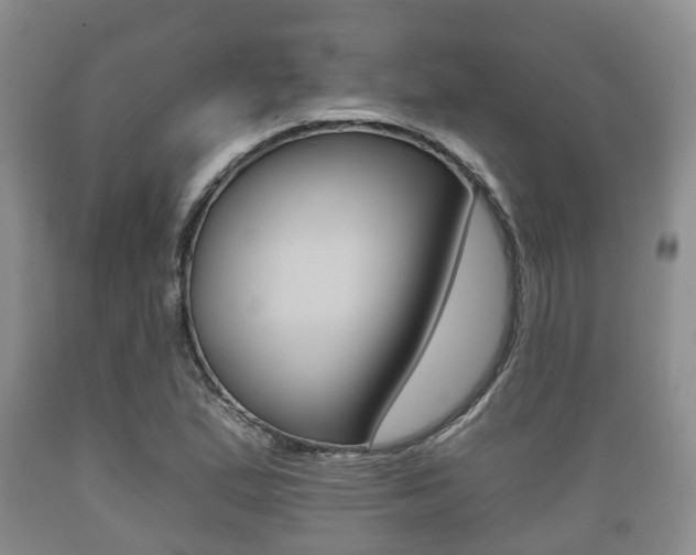 X0000089761167200706210947