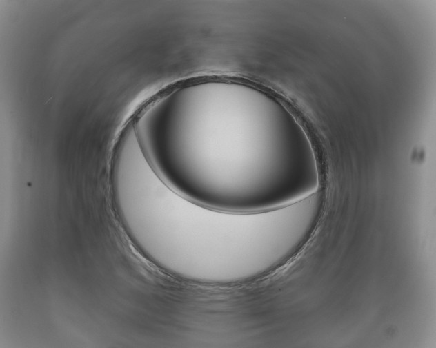 X0000089761168200706210947