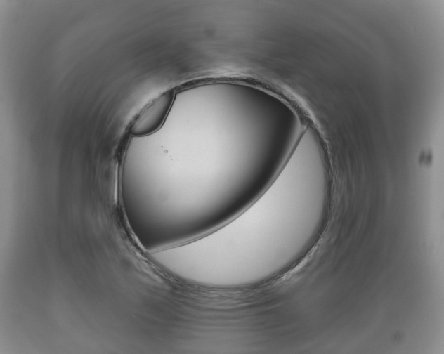 X0000089761171200706210947