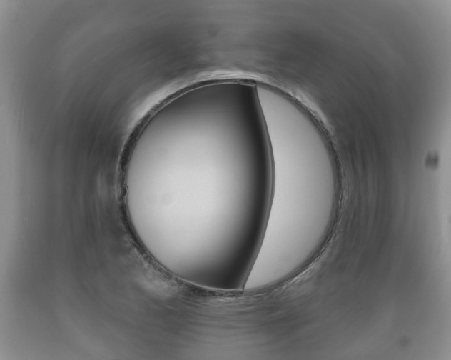 X0000089761173200706210947