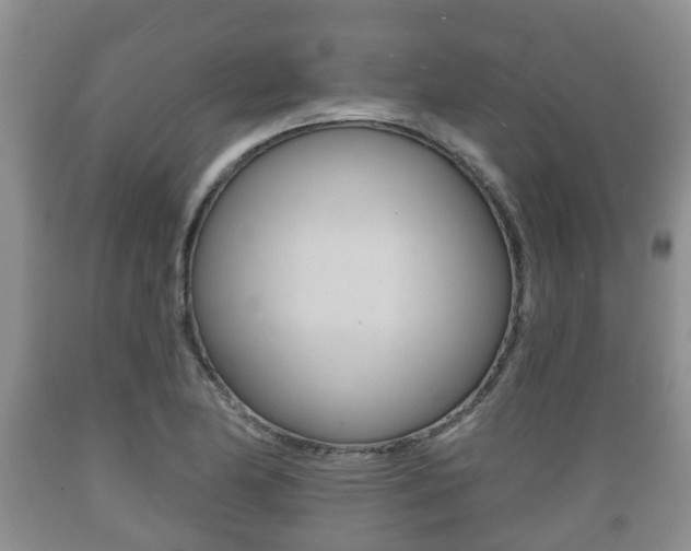 X0000089761174200706210947
