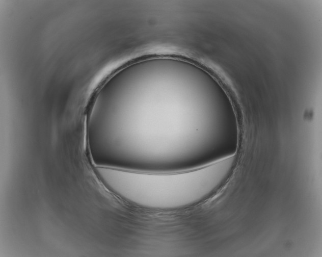 X0000089761175200706210947