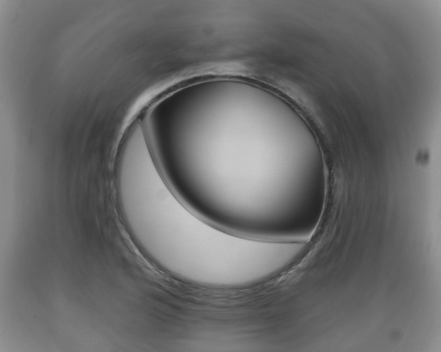 X0000089761176200706210947
