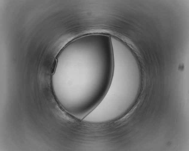 X0000089761177200706210947
