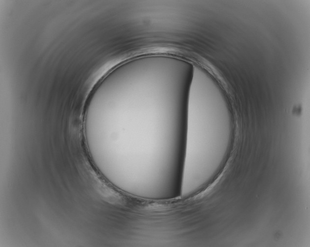 X0000089761178200706210947