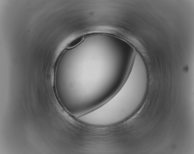 X0000089761180200706210947