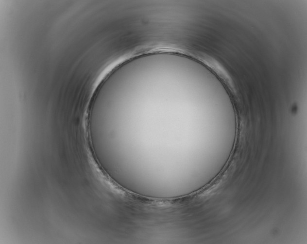 X0000089761190200706210947