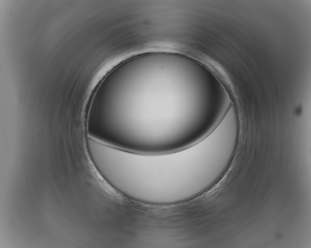 X0000089761192200706210947