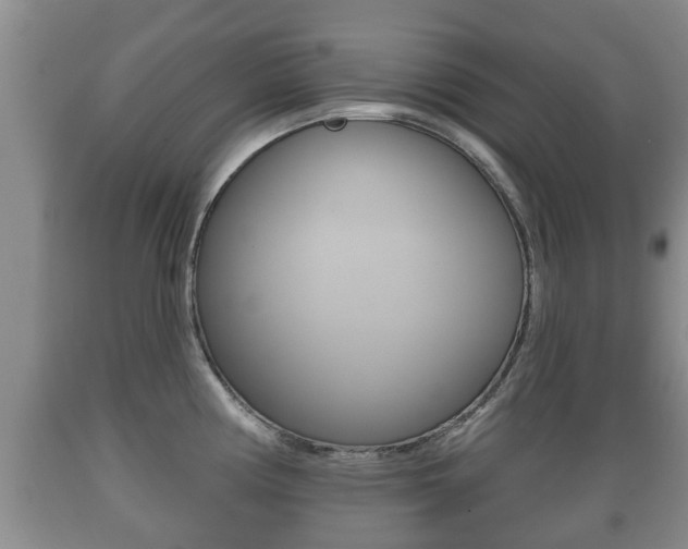 X0000089761194200706210947
