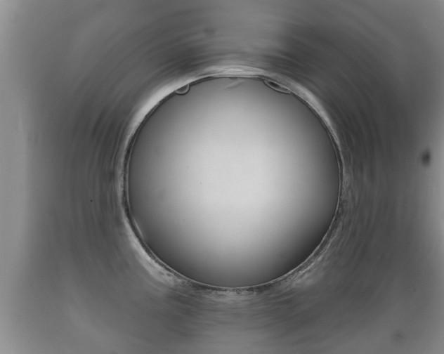 X0000089761195200706210947