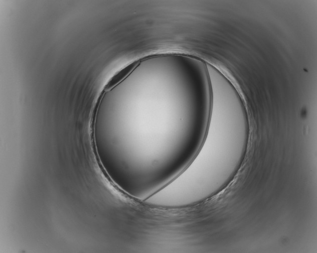 X0000089761197200706210947
