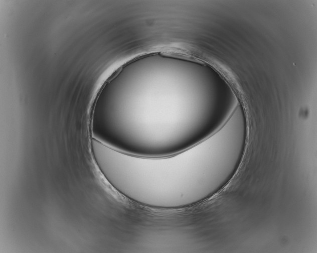 X0000089761200200706210947