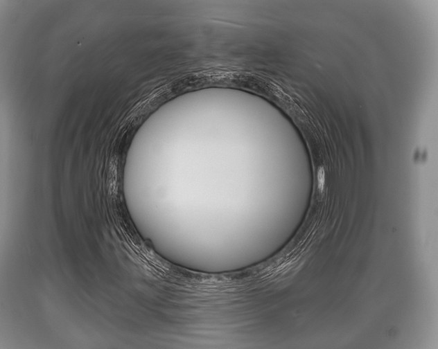 X0000089761203200706210946
