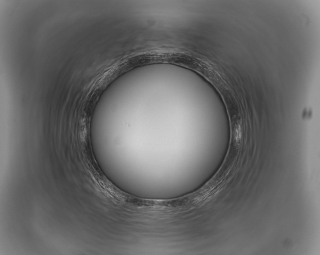 X0000089761204200706210946