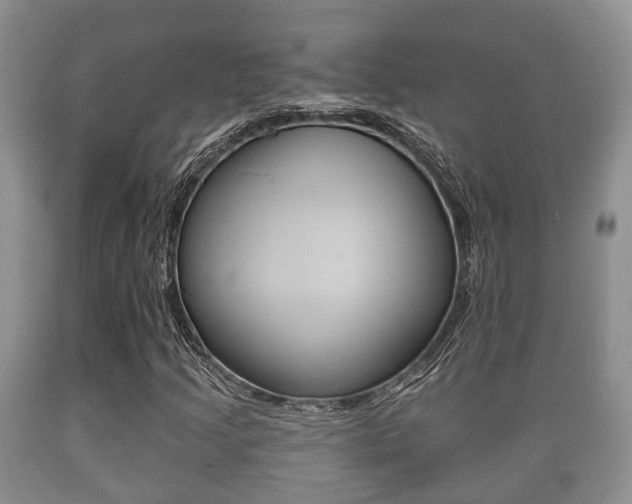 X0000089761205200706210946