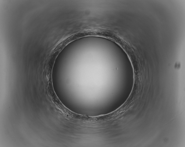 X0000089761206200706210946