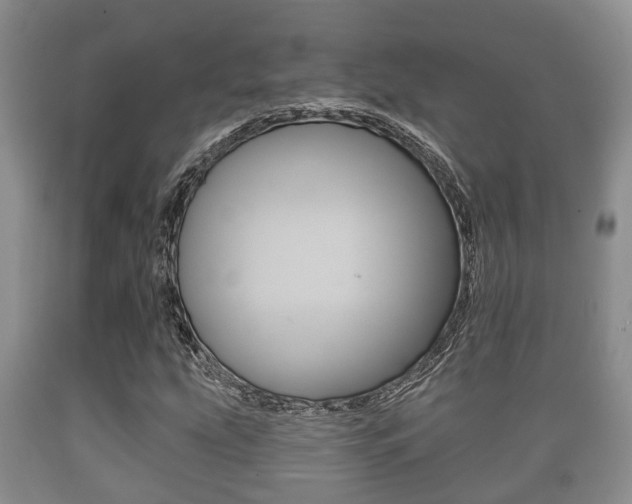 X0000089761207200706210946
