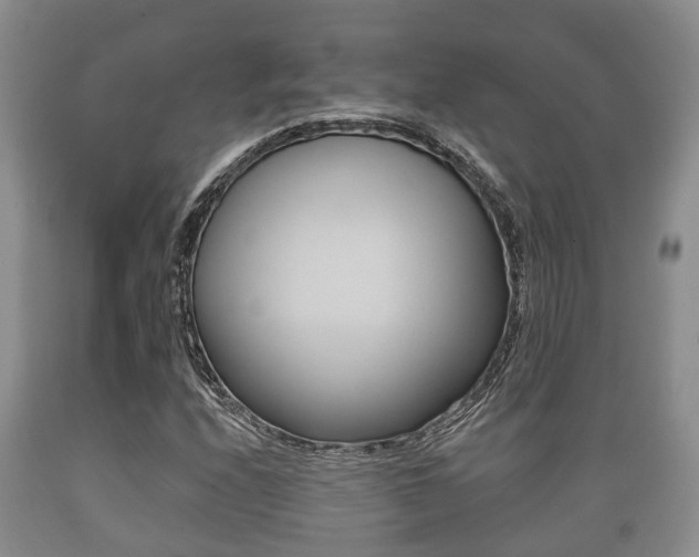 X0000089761208200706210946
