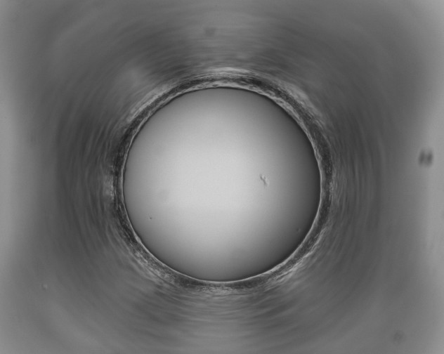 X0000089761209200706210946