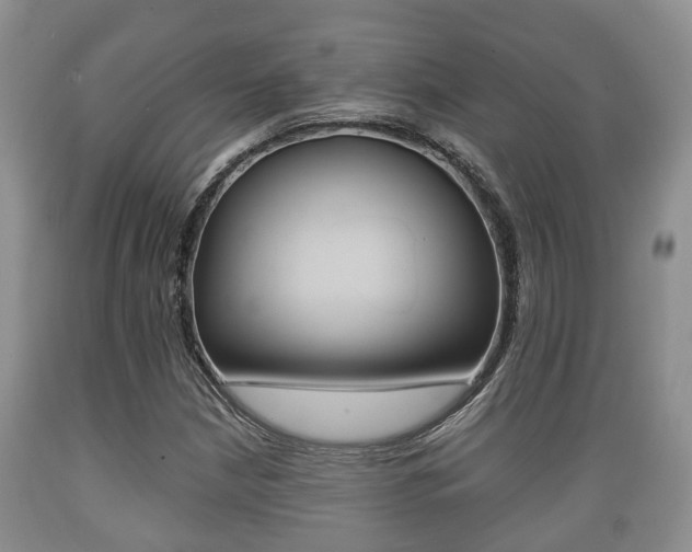 X0000089761210200706210946