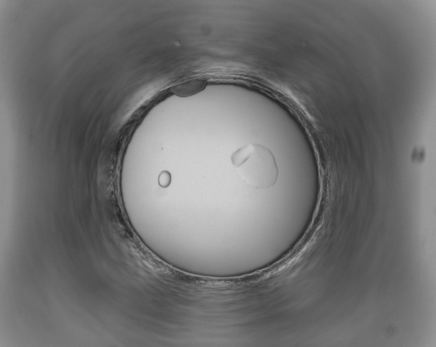 X0000089761211200706210946