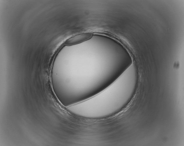 X0000089761212200706210946