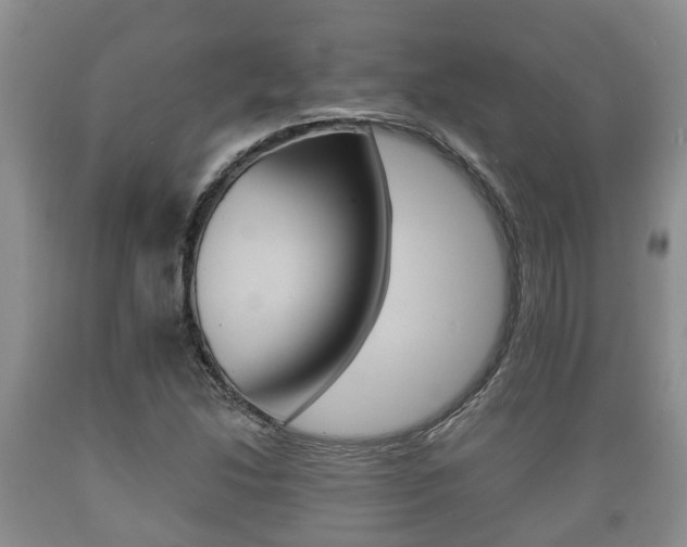 X0000089761214200706210946