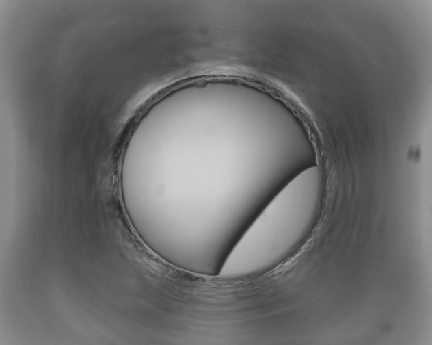 X0000089761215200706210946