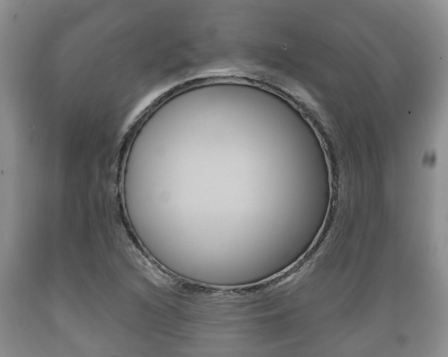 X0000089761216200706210946