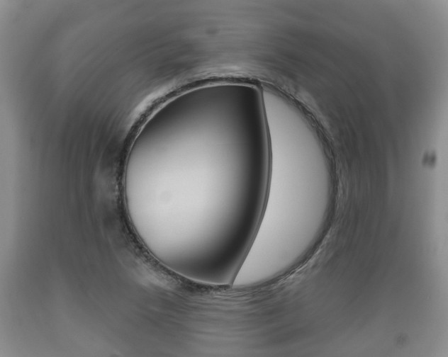 X0000089761218200706210946