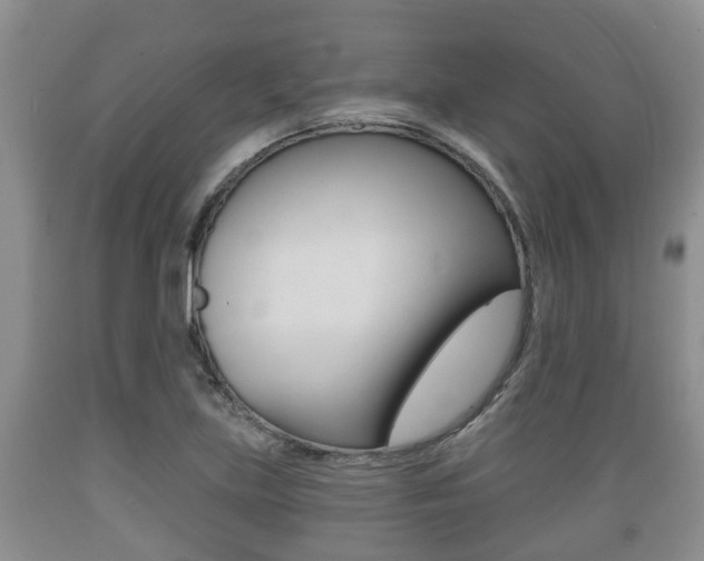 X0000089761219200706210946