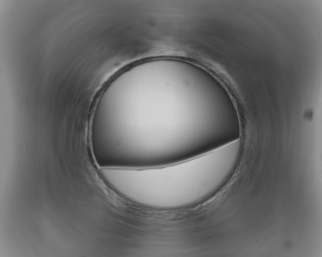 X0000089761220200706210946