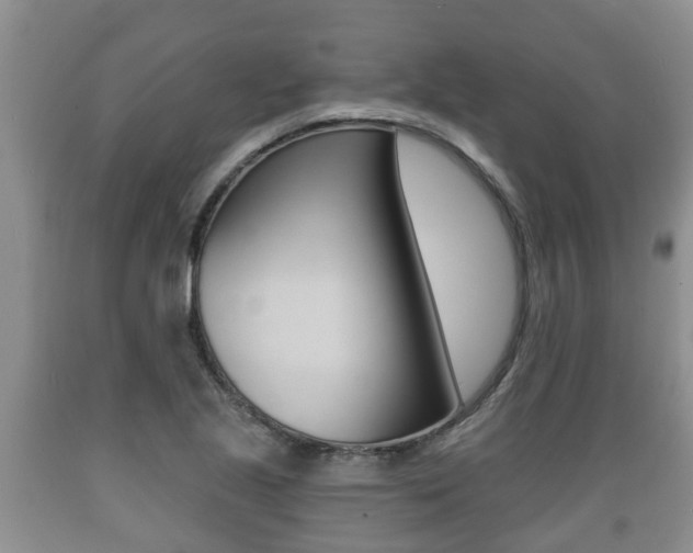 X0000089761221200706210946