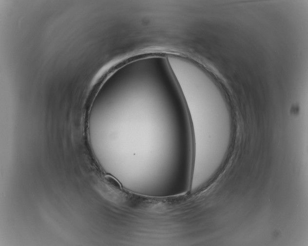 X0000089761222200706210946