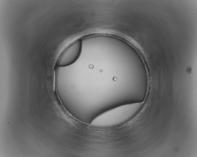 X0000089761223200706210946