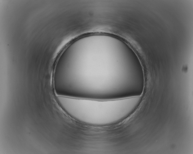 X0000089761224200706210946