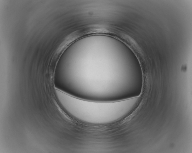 X0000089761225200706210946