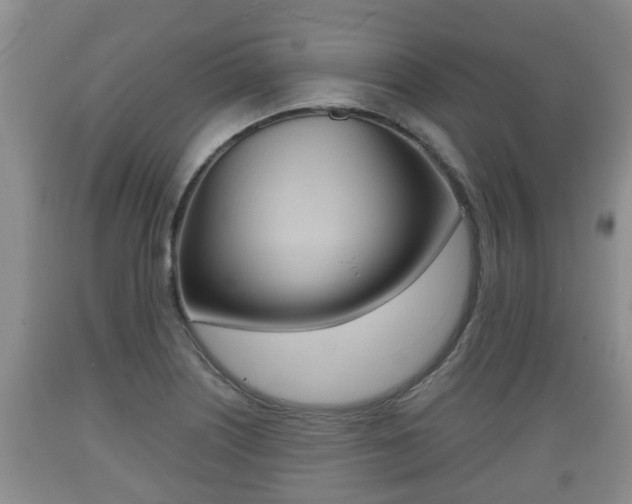 X0000089761226200706210946
