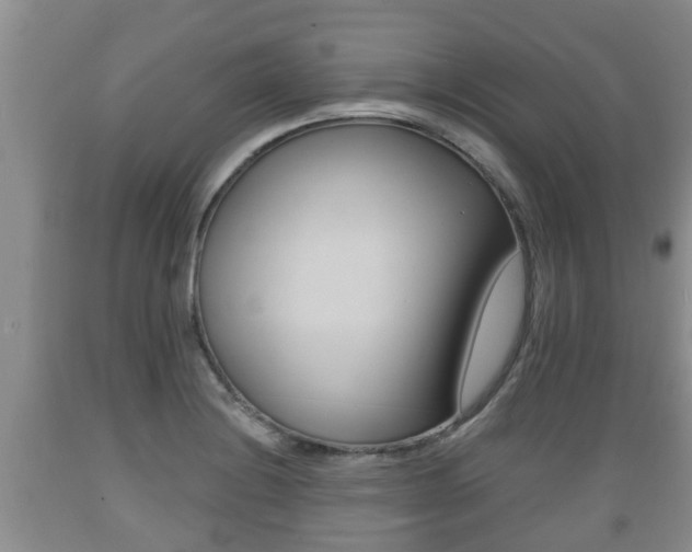 X0000089761228200706210946
