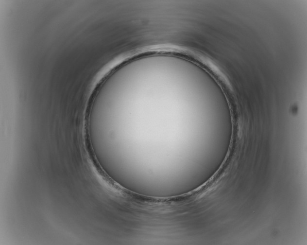 X0000089761229200706210946