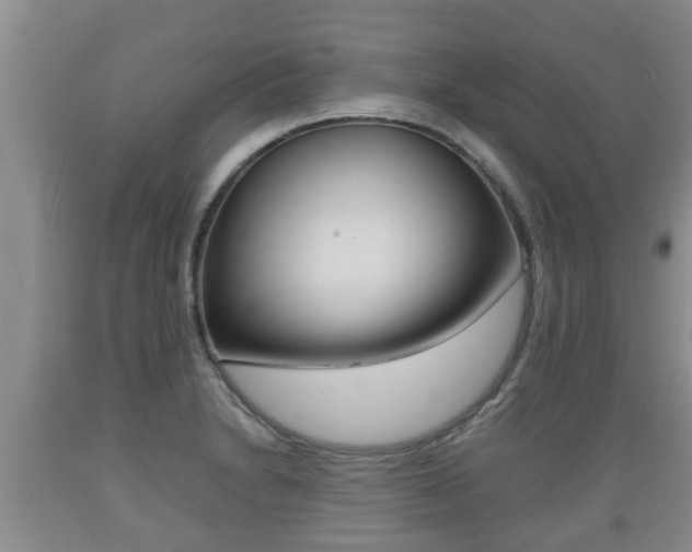 X0000089761230200706210946