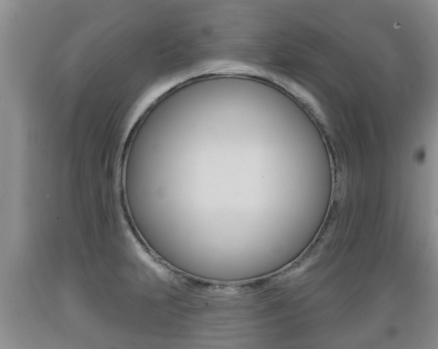 X0000089761231200706210946