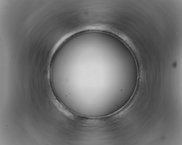 X0000089761232200706210946