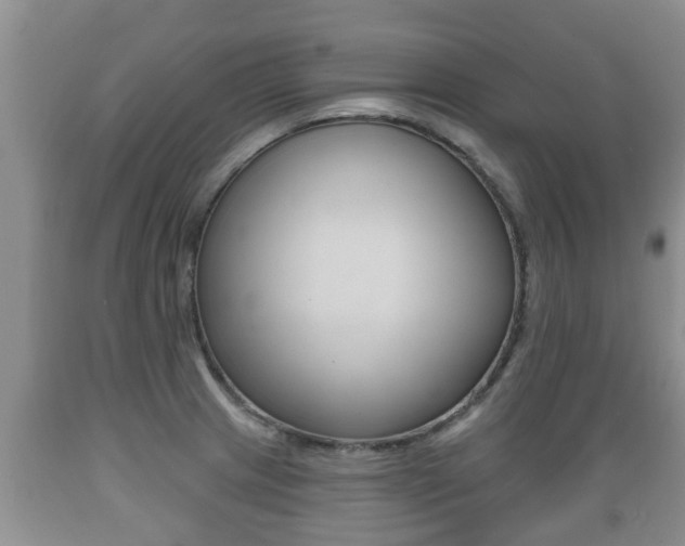 X0000089761233200706210946