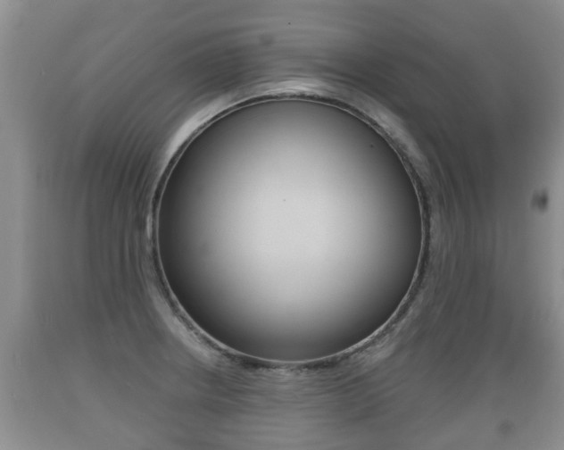 X0000089761234200706210946