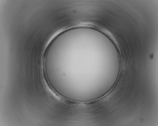 X0000089761235200706210946