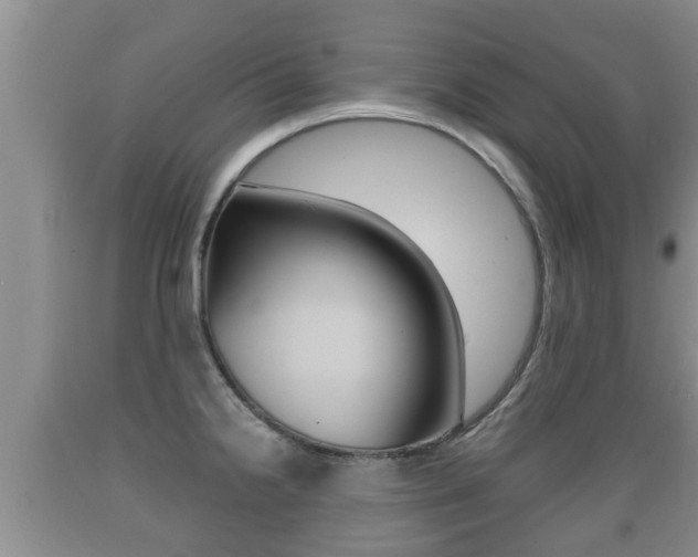 X0000089761238200706210946