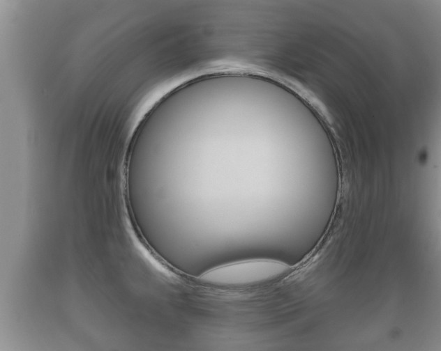X0000089761239200706210946